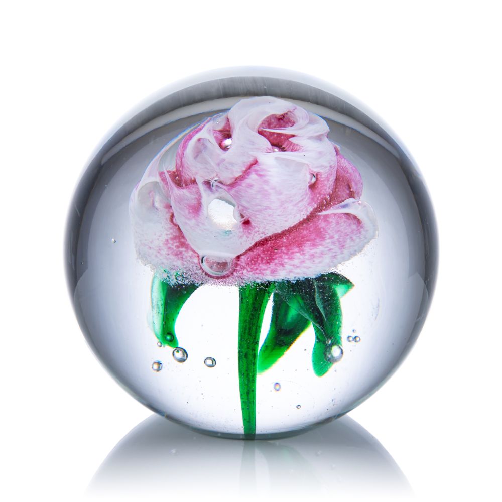 Skleněné těžítko "Růže v ranní rose" - obrázek