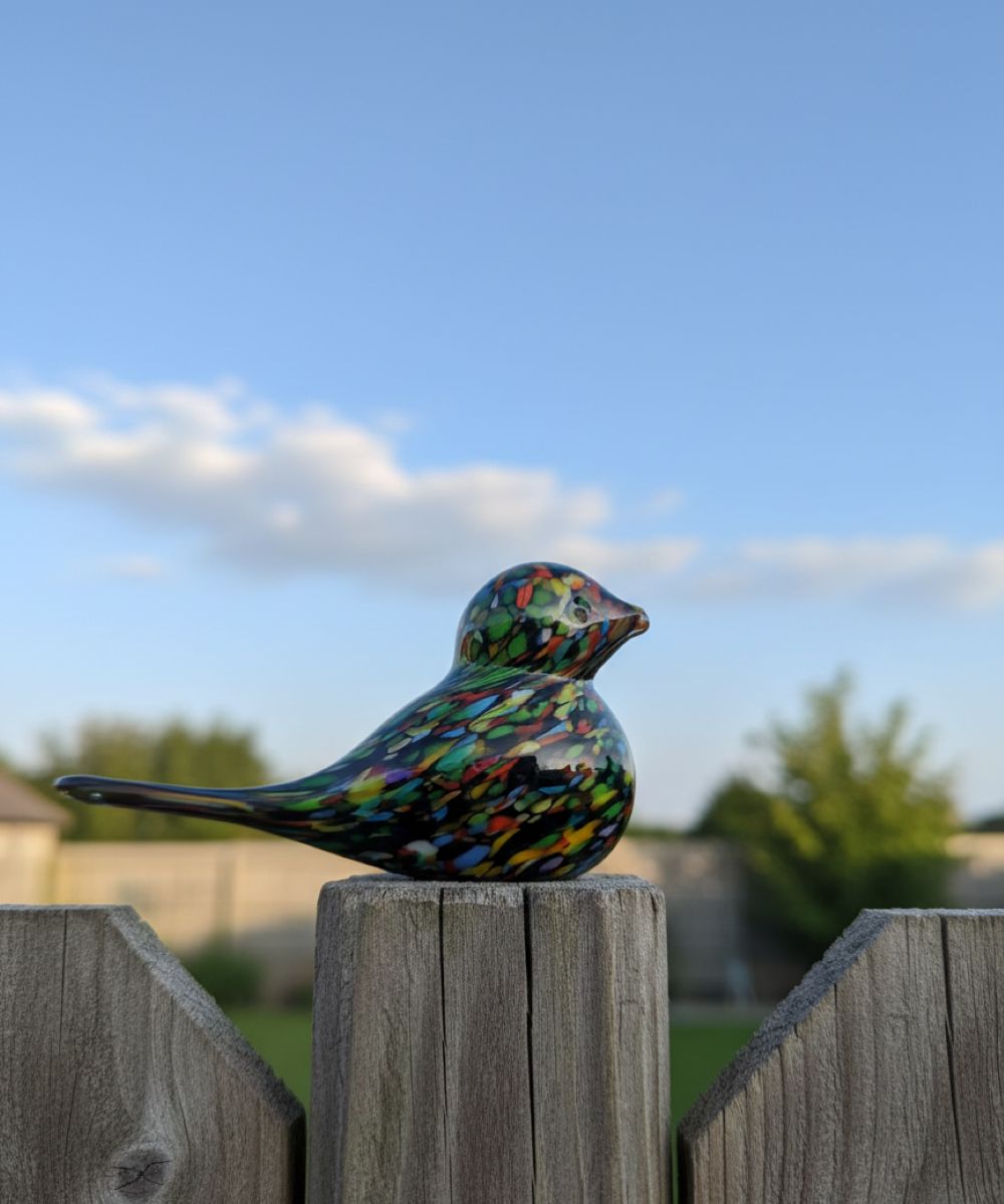 Skleněný ptáček černý Multi menší - obrázek