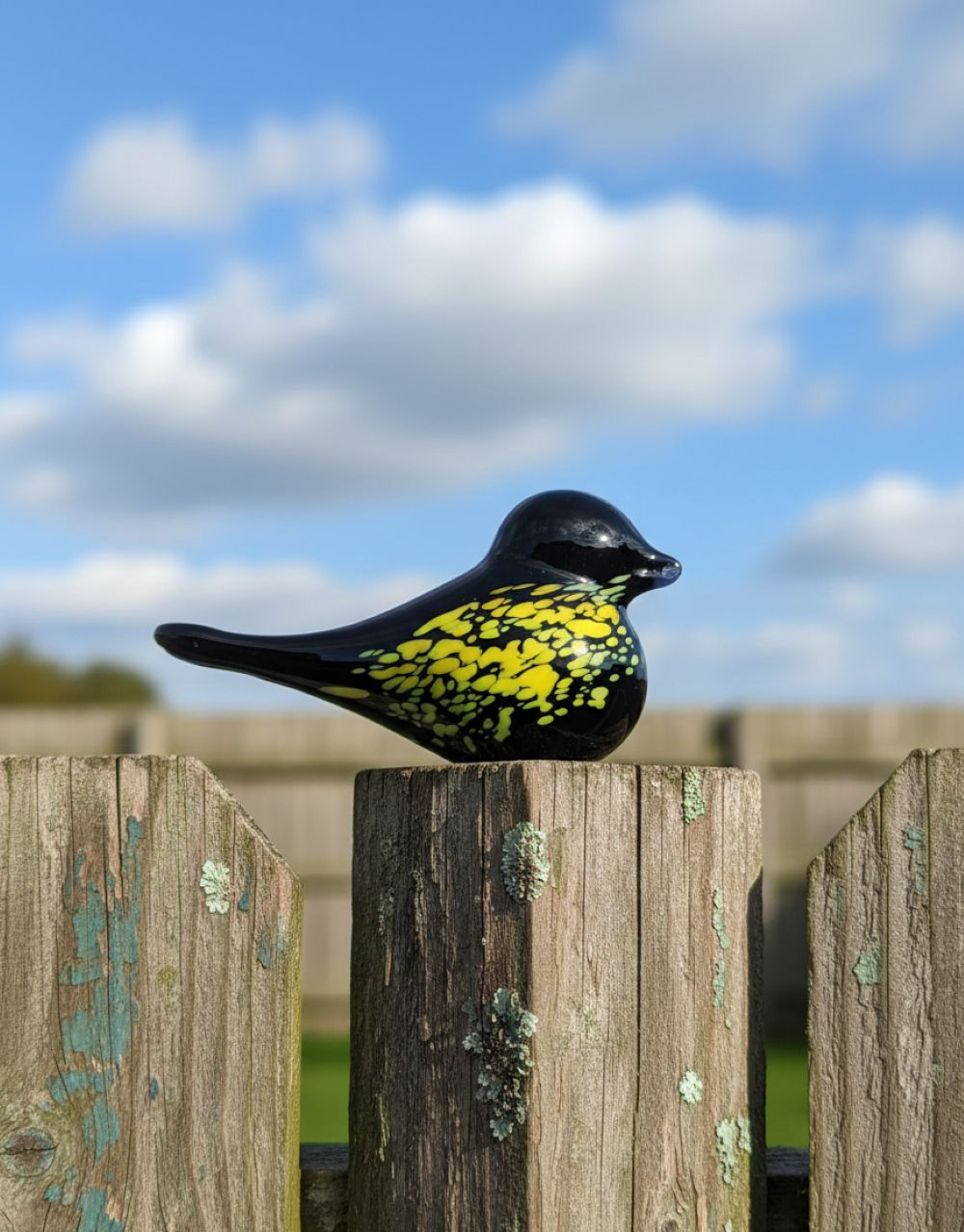 Skleněný ptáček černý se žlutými broky II - obrázek