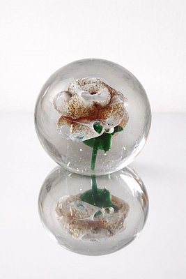 obr/003/i003793-sklenene-tezitko-kvet-hned.jpg Skleněné těžítko Růže v ranní rose Brown - obrázek