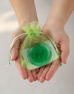 obr/003/i003946-skleneny-ctyrlistek.jpg Dárkový sáček Pytlík plný štěstí - obrázek