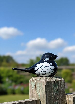 Skleněný ptáček černo Bílý - obrázek